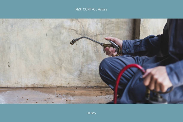 PEST CONTROL Halsey